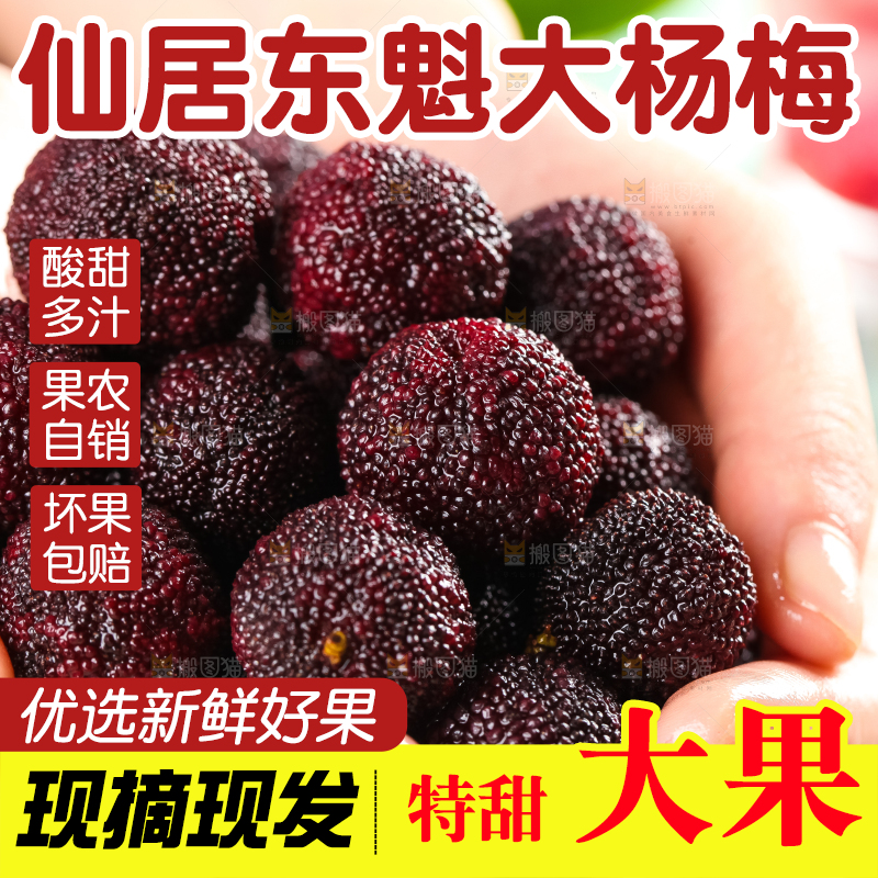 手里拿着杨梅
