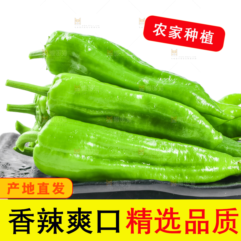 盘子里装着薄皮青椒