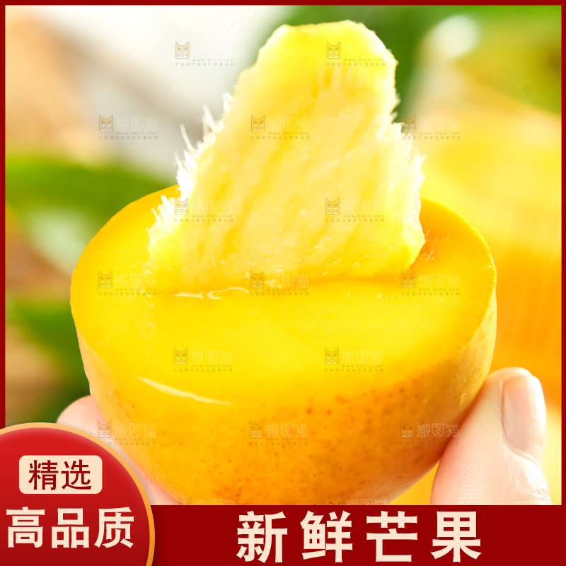手里端着海南小台农芒果