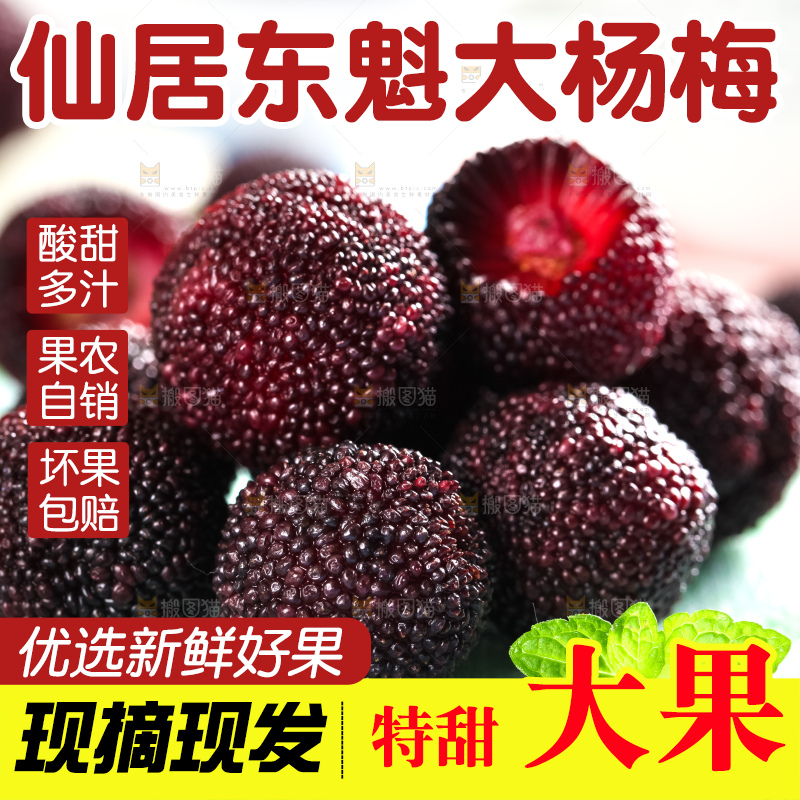 浅底上摆放着东魁杨梅