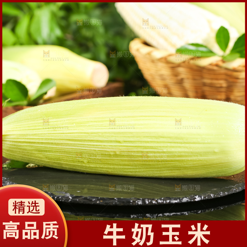 黑底上放着白玉米