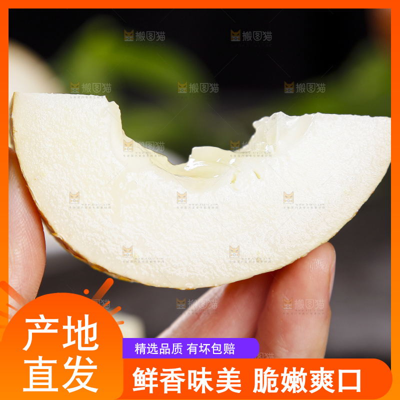 深底上的老黄瓜