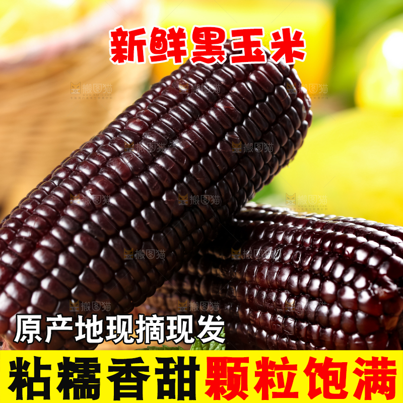 木底上放着黑玉米