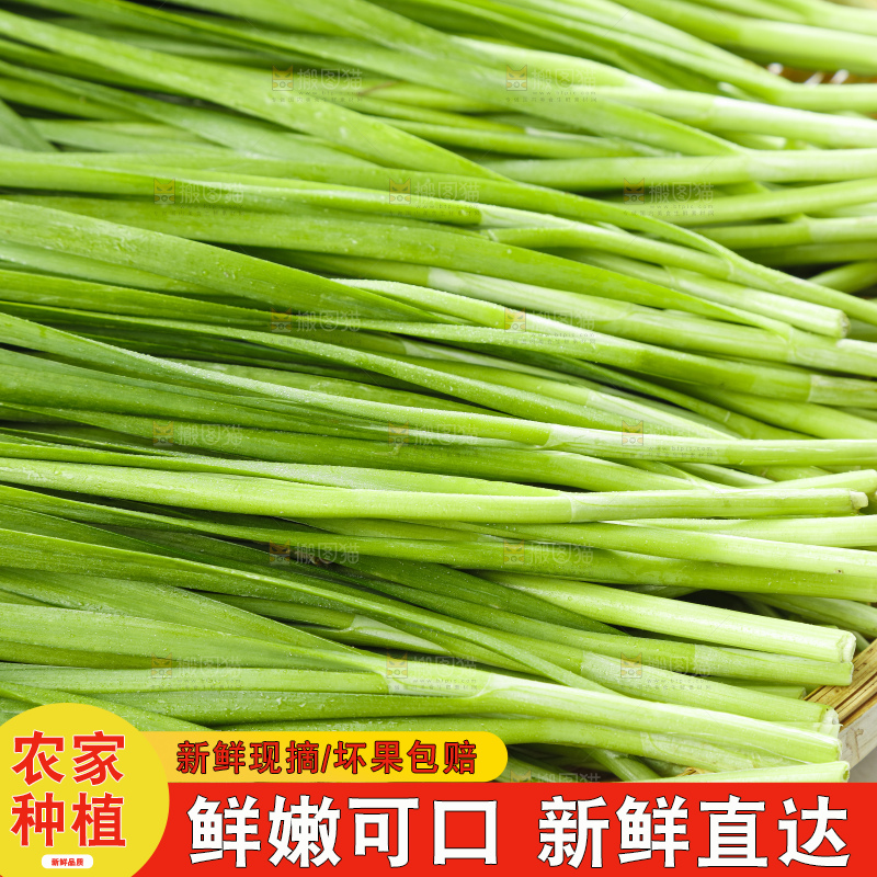篮子里装着嫩韭菜