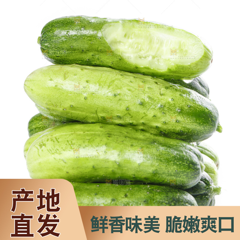 白底上放着刺黄瓜