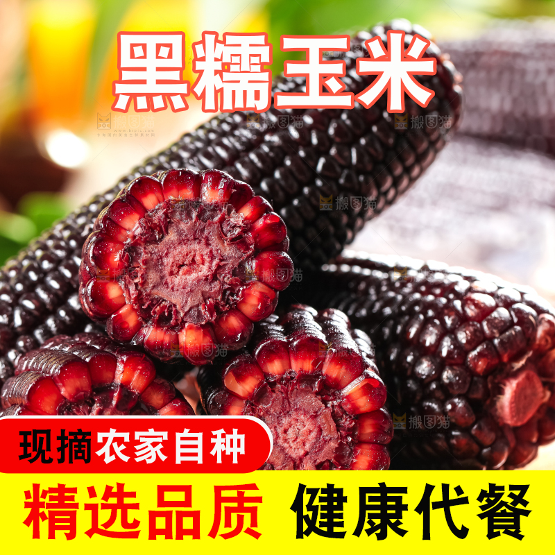 木底上摆放着黑玉米