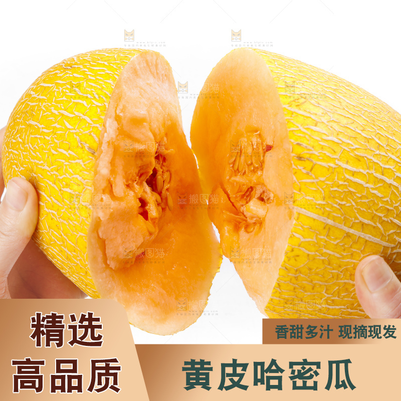 手里拿着新疆黄皮哈密瓜