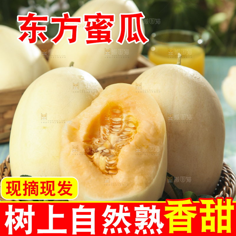 篮子里装着蜜瓜
