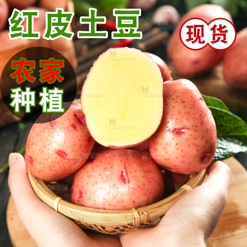 手里捧着一篮云南红皮土豆