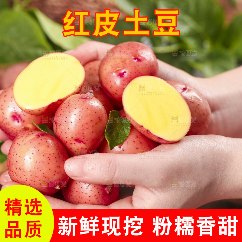 手里捧着红皮土豆
