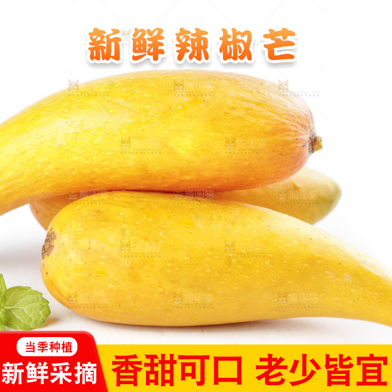 白底上的辣椒芒