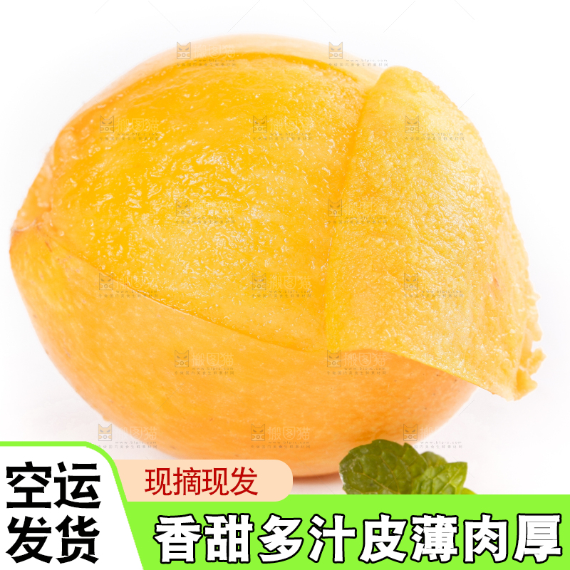 白底上摆放着新鲜枇杷