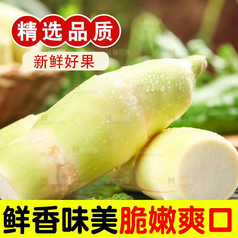 石板上的云南茭白