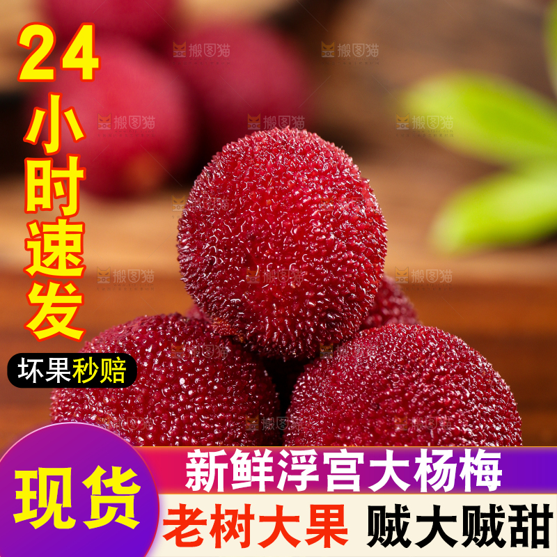 木板上的高山大杨梅