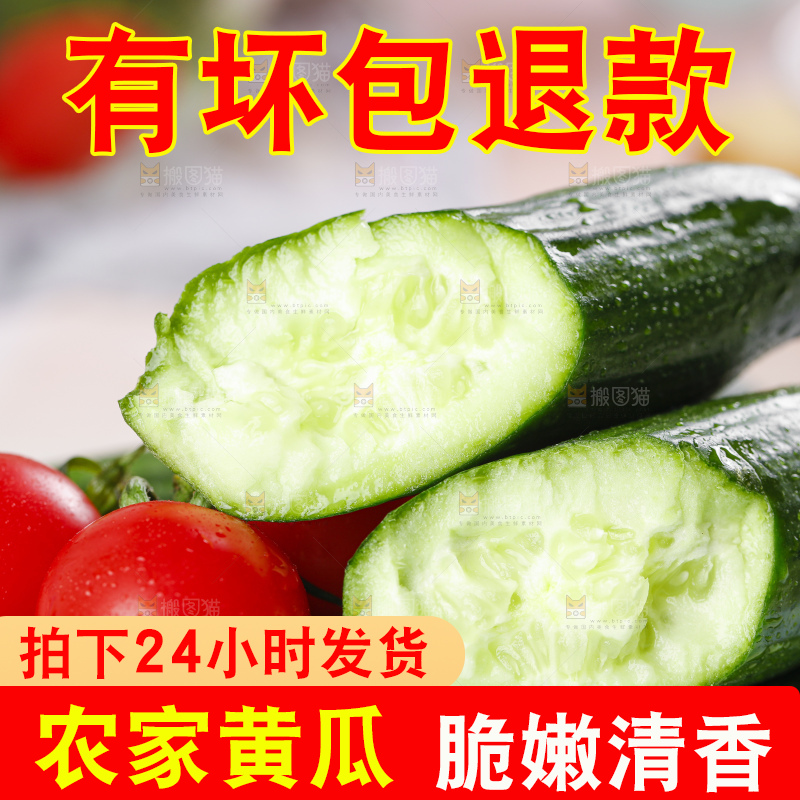 盘子里装着嫩黄瓜