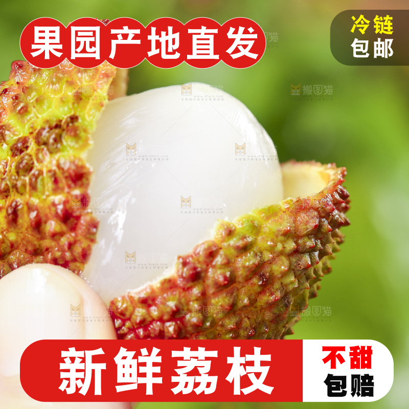 手里拿着妃子笑荔枝