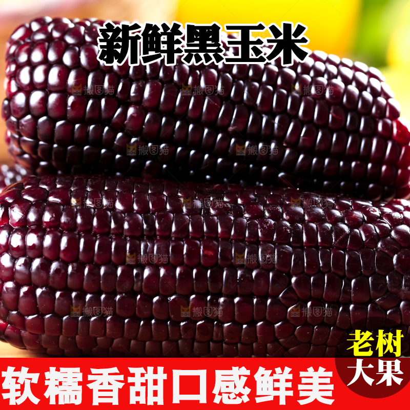 木底上放着黑玉米