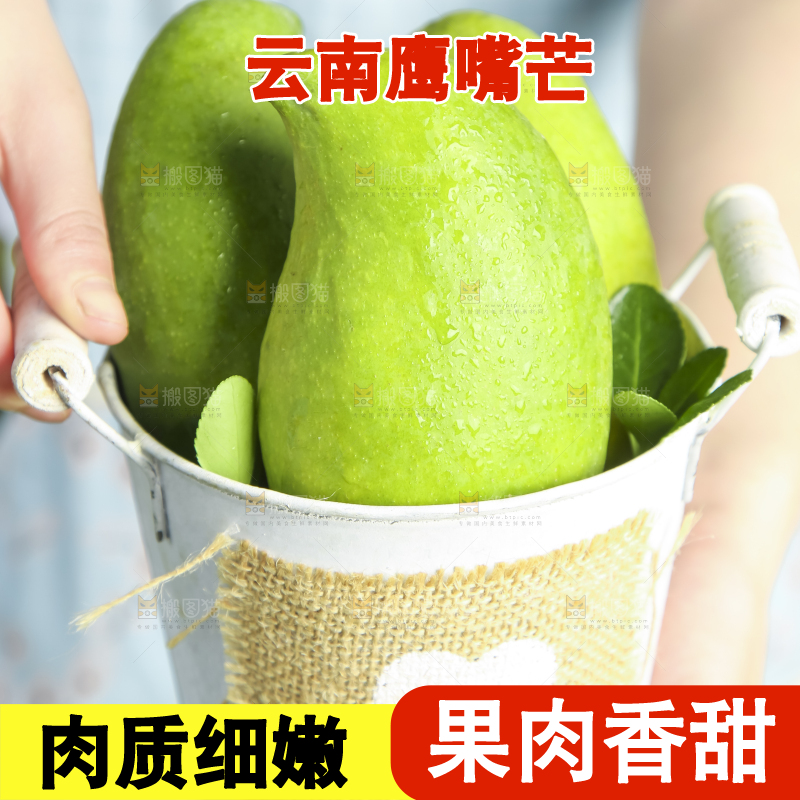 小桶里装着芒果