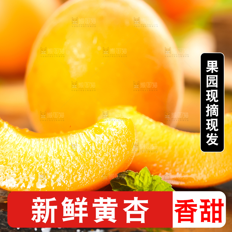 黑底上放着黄杏