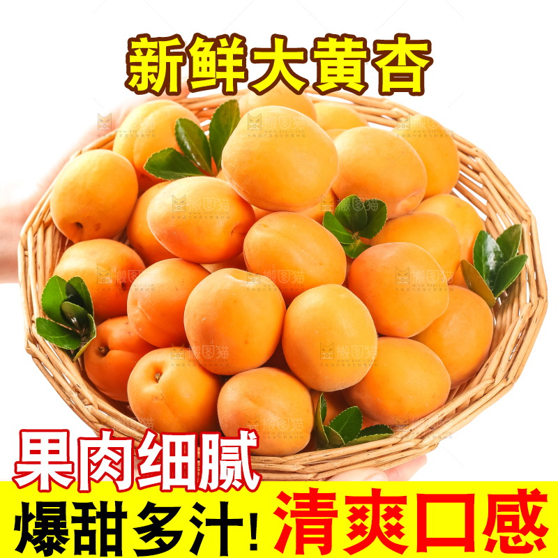 篮子里装着杏子