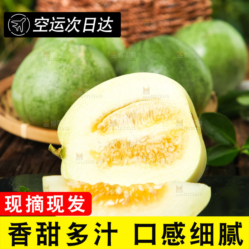 黑底上放着阎良香瓜