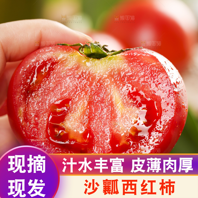 手里拿着米易沙瓤西红柿