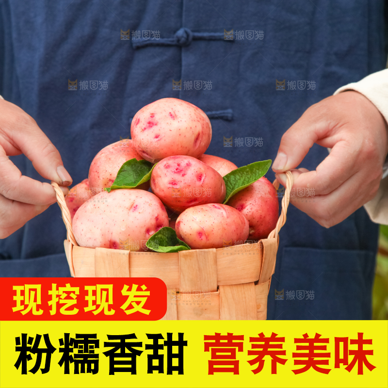 篮子里装着红皮土豆