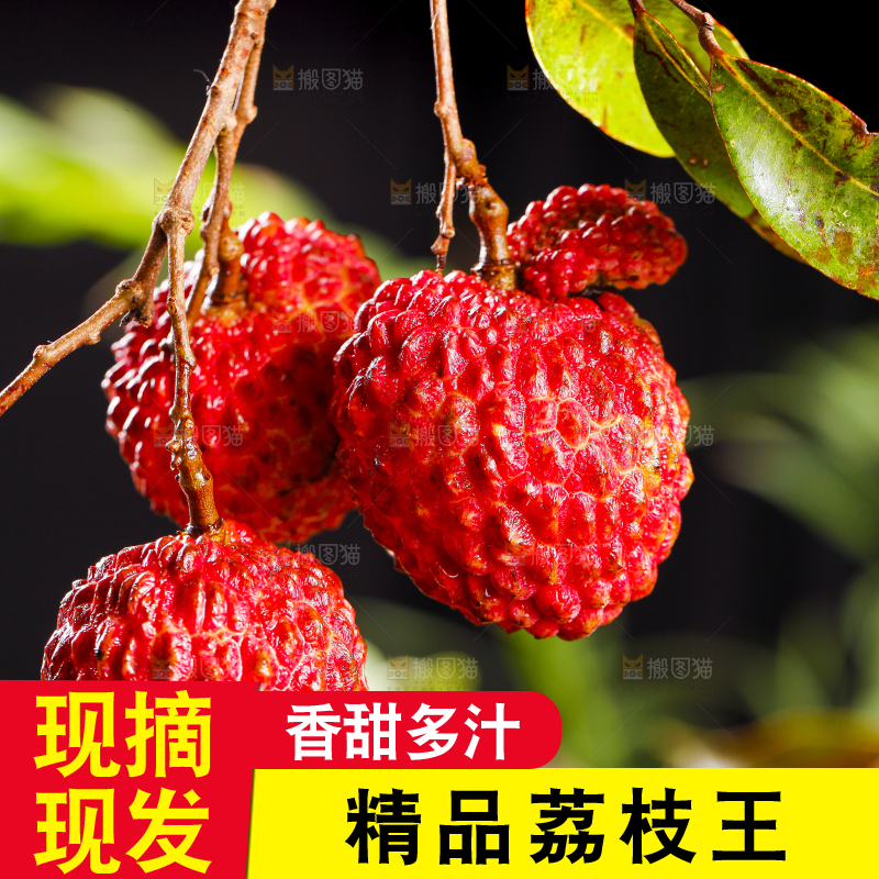 浅底上放着荔枝王