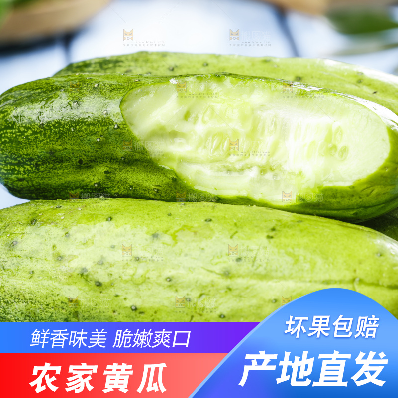 碟子里装着黄瓜