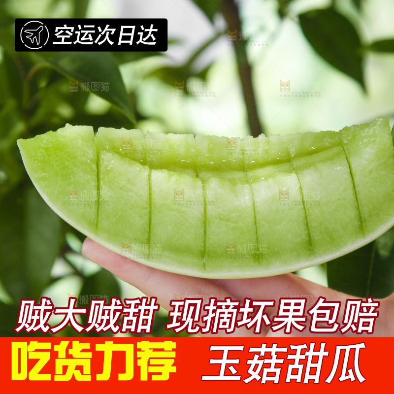 手里拿着山东玉菇甜瓜