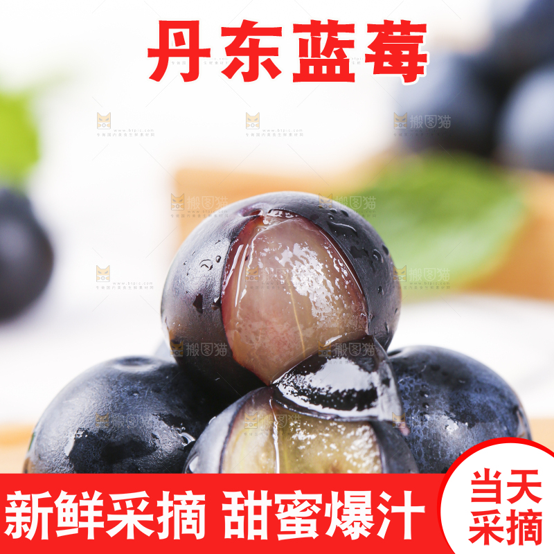 木板上摆放着新鲜蓝莓