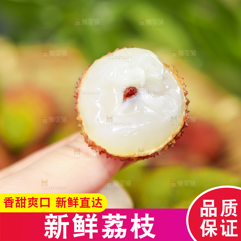 手里拿着妃子笑荔枝
