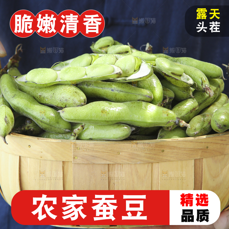 手里提着一篮子农家蚕豆
