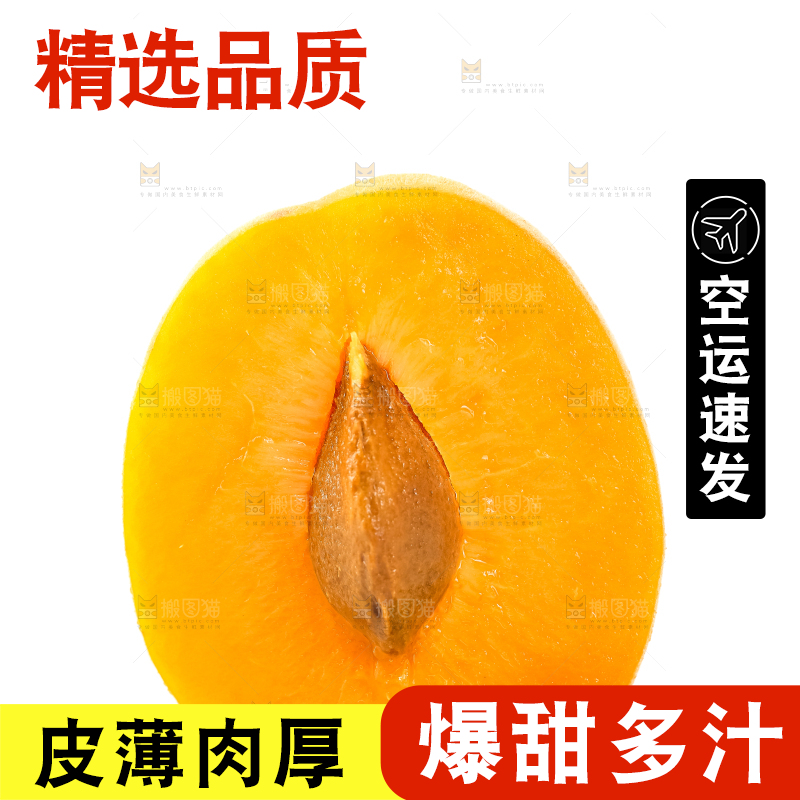白底上放着陕西新鲜大黄杏
