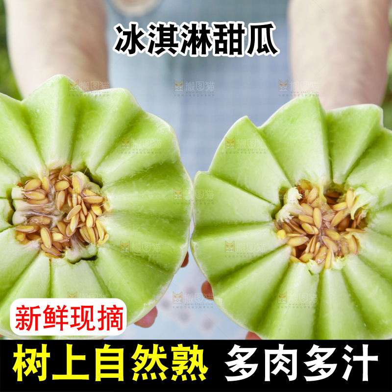 手里拿着山东玉菇甜瓜