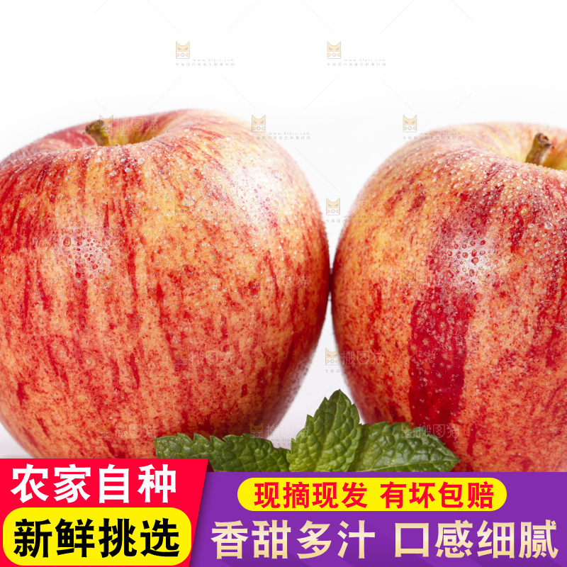 白底上放着秦冠苹果