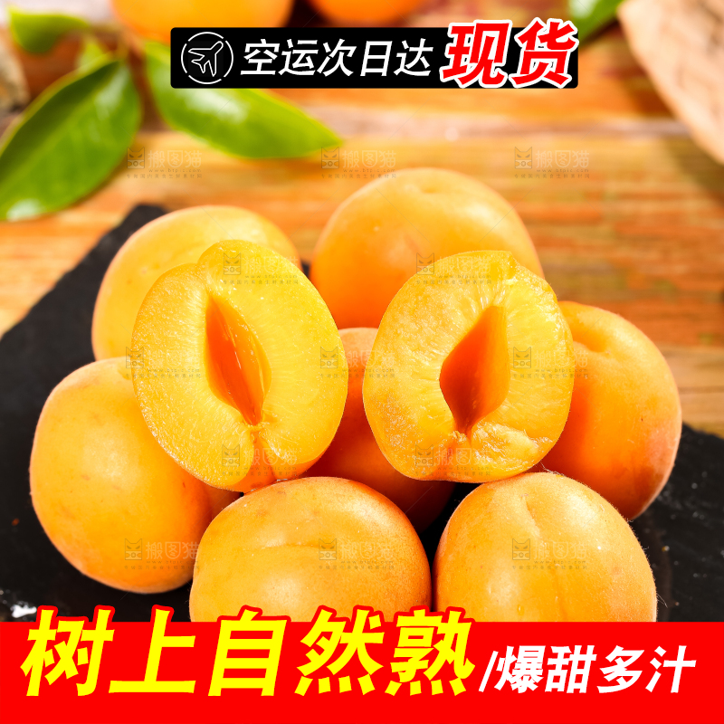 黑底上放着大黄杏