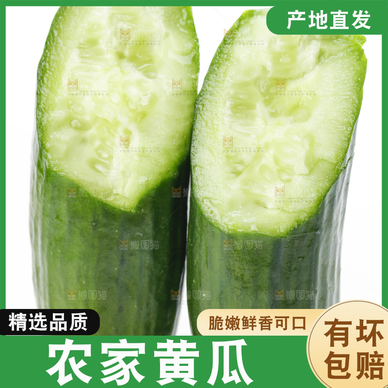 白底上摆放着嫩黄瓜