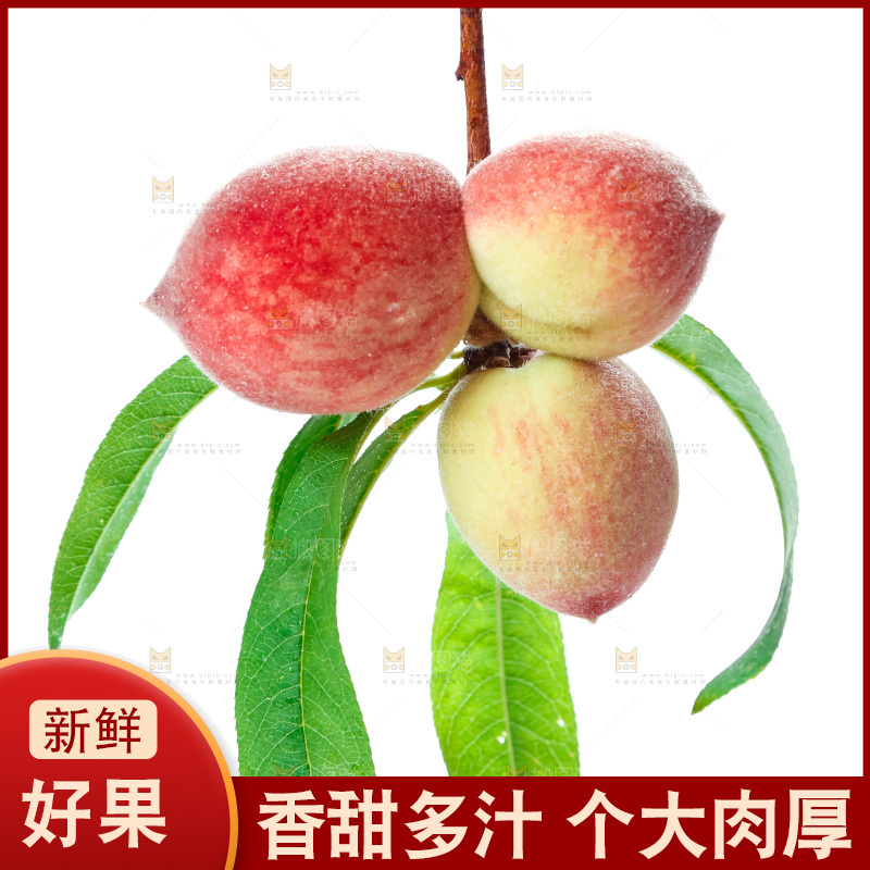 白底上摆放着毛桃