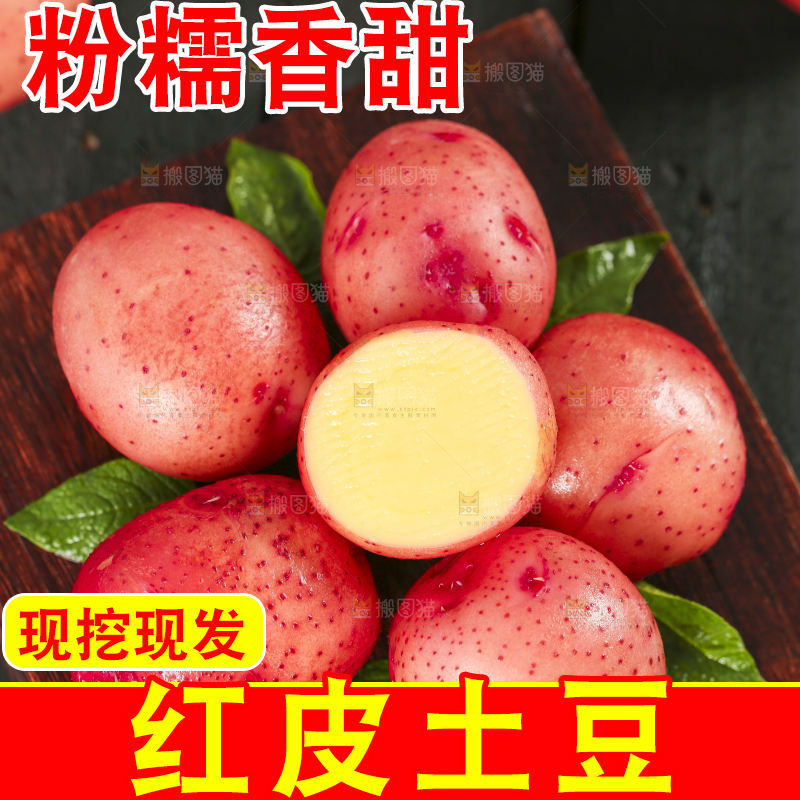 木底上摆放着云南红皮土豆