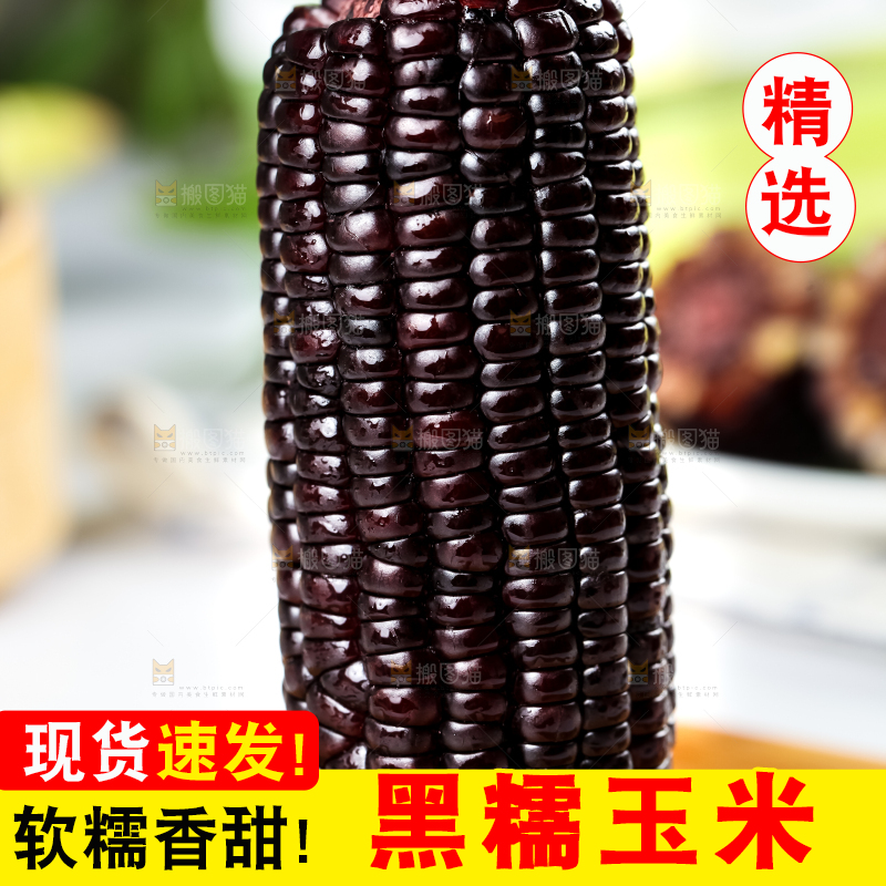 木底上摆放着东北黑玉米