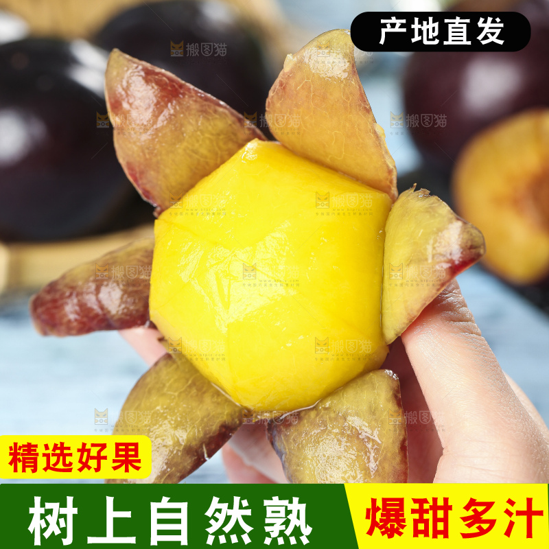手里拿着陕西黑布林