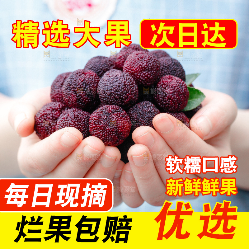 手里捧着杨梅