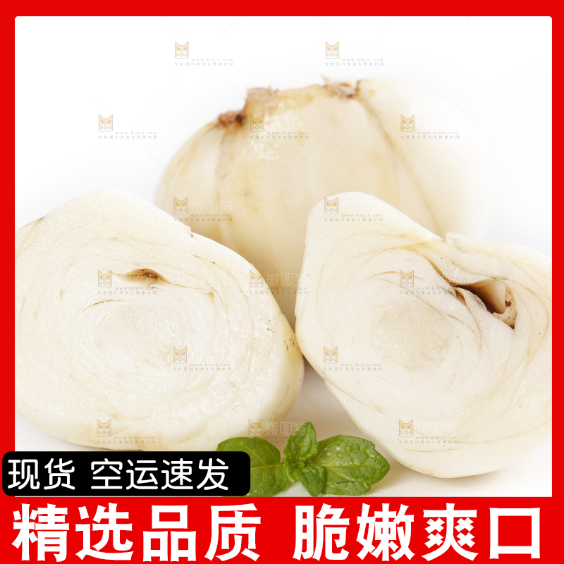 白底上放着兰州百合