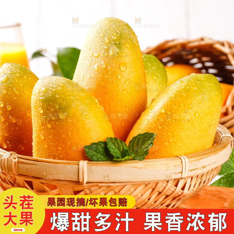 木板上摆放着广西小台芒