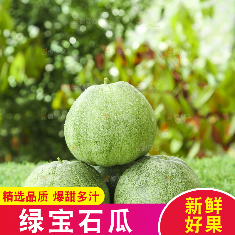 草地上放着绿皮甜瓜