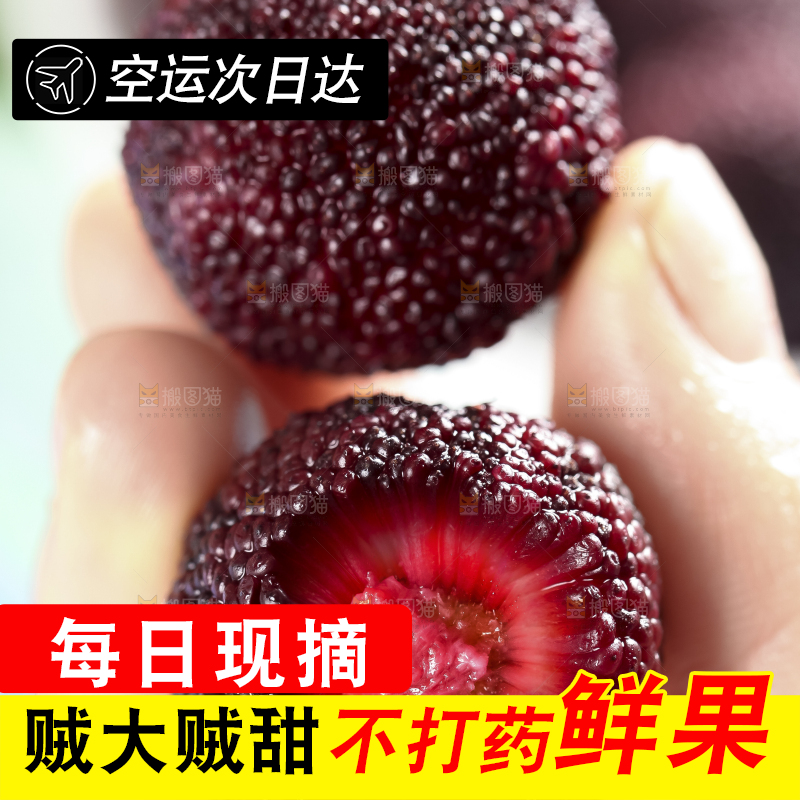 手里拿着杨梅