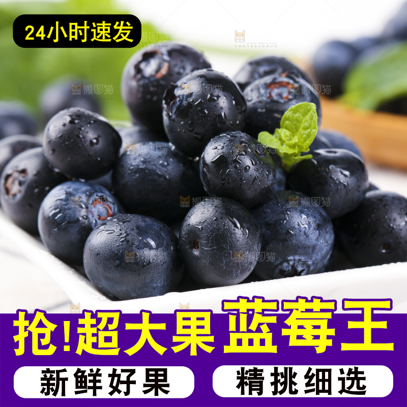 格子底上摆放着长白山蓝莓