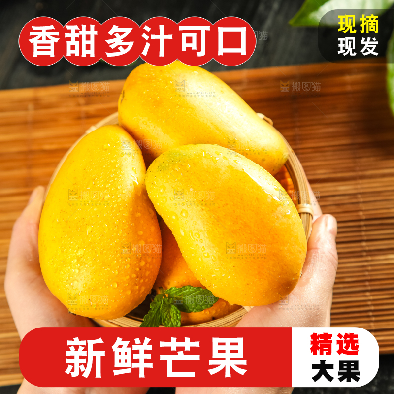 手里拿着小台芒