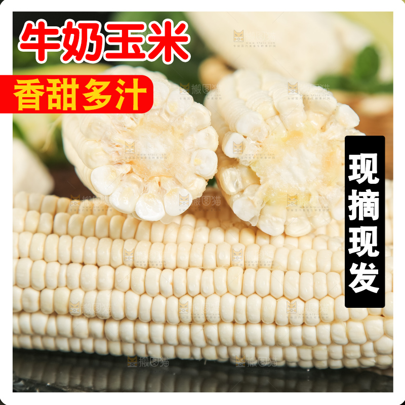 深底上放着漳州牛奶玉米